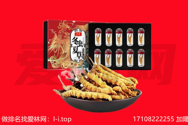 会理县回收虫草.jpg